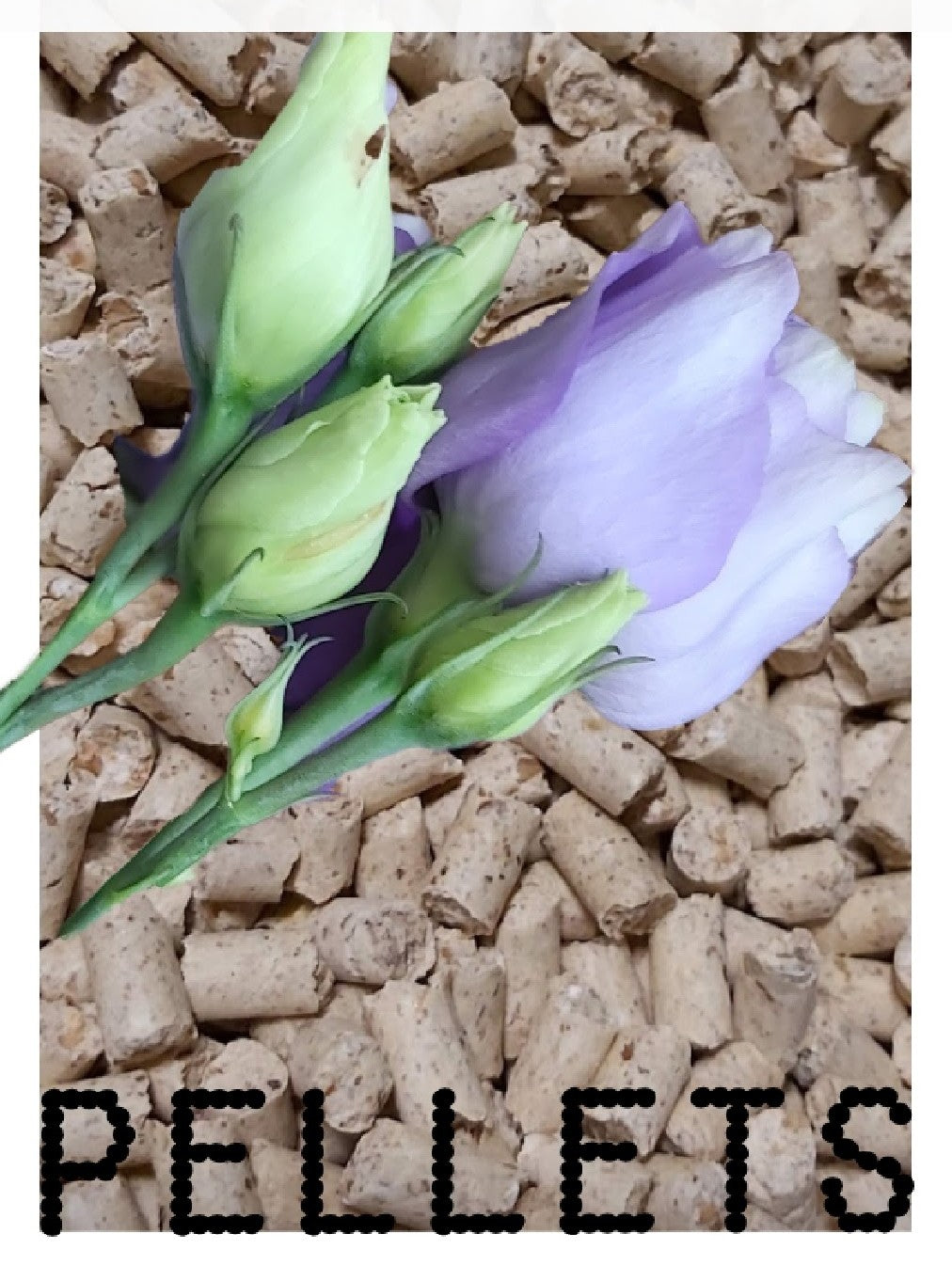 Kukko Hakkaraisen TäysHyvä kanoille.