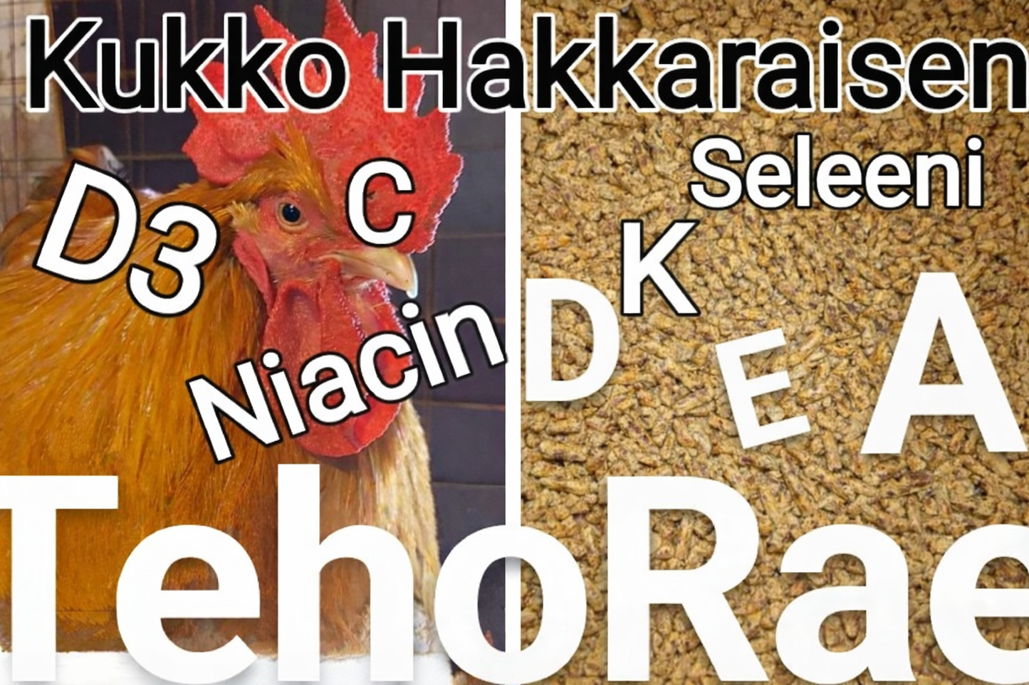 CockTail ja TehoRae monivitamiinit